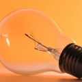 Bulb