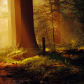 Portofolio-Ans-2