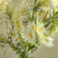 ICM-Ans2-Margrietje