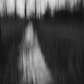 ICM-BartDeVries-1