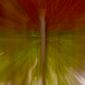 ICM-BenH-2