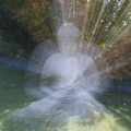 ICM-Hans-introspectie