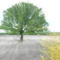 ICM-Ingrid-boom_op_hei