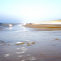 mirjam-icm1
