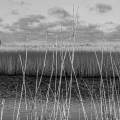 1_PF_Evert_06