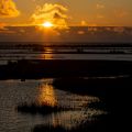 PF_Evert_05