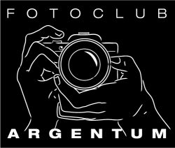 Logo Argentum